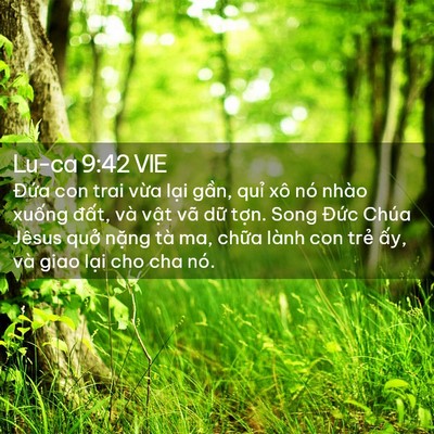 Picture 02 - Lu-ca 9:42 VIE - Đứa con trai vừa lại gần, quỉ xô nó - Bible Verse Picture