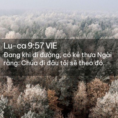 Picture 02 - Lu-ca 9:57 VIE - Đang khi đi đường, có kẻ thưa Ngài - Bible Verse Picture
