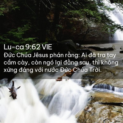 Picture 02 - Lu-ca 9:62 VIE - Đức Chúa Jêsus phán rằng: Ai đã tra tay - Bible Verse Picture