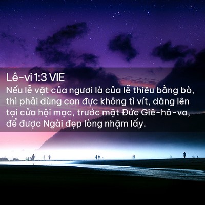 Picture 02 - Lê-vi 1:3 VIE - Nếu lễ vật của ngươi là của lễ - Bible Verse Picture