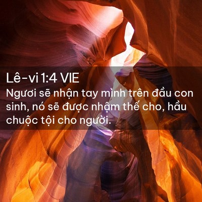 Picture 02 - Lê-vi 1:4 VIE - Ngươi sẽ nhận tay mình trên đầu con - Bible Verse Picture