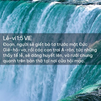 Picture 02 - Lê-vi 1:5 VIE - Đoạn, người sẽ giết bò tơ trước - Bible Verse Picture