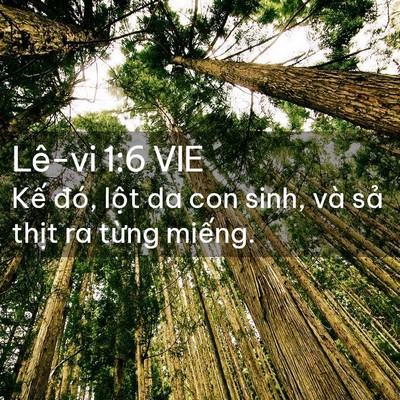 Picture 02 - Lê-vi 1:6 VIE - Kế đó, lột da con sinh, và sả thịt ra - Bible Verse Picture