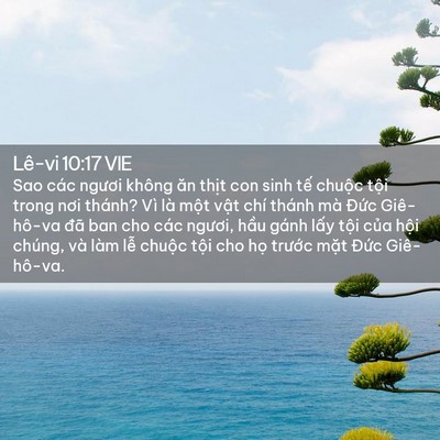 Picture 02 - Lê-vi 10:17 VIE - Sao các ngươi không ăn thịt con sinh tế - Bible Verse Picture