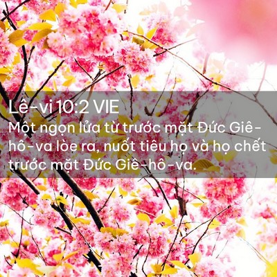 Picture 02 - Lê-vi 10:2 VIE - Một ngọn lửa từ trước mặt Đức - Bible Verse Picture