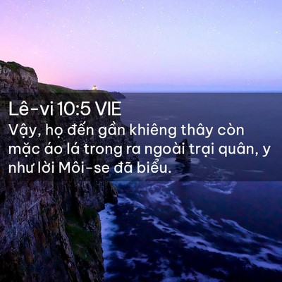 Picture 02 - Lê-vi 10:5 VIE - Vậy, họ đến gần khiêng thây còn mặc - Bible Verse Picture