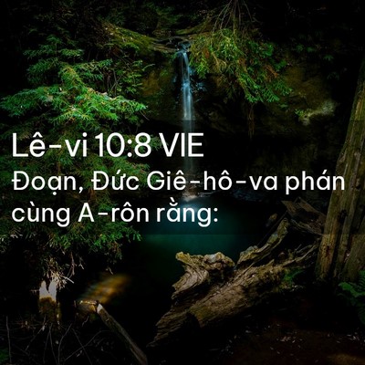 Picture 02 - Lê-vi 10:8 VIE - Đoạn, Đức Giê-hô-va phán cùng A-rôn - Bible Verse Picture