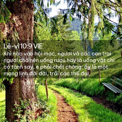 Picture 02 - Lê-vi 10:9 VIE - Khi nào vào hội mạc, ngươi và các con - Bible Verse Picture