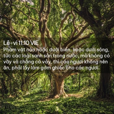 Picture 02 - Lê-vi 11:10 VIE - Phàm vật nào hoặc dưới biển, hoặc - Bible Verse Picture