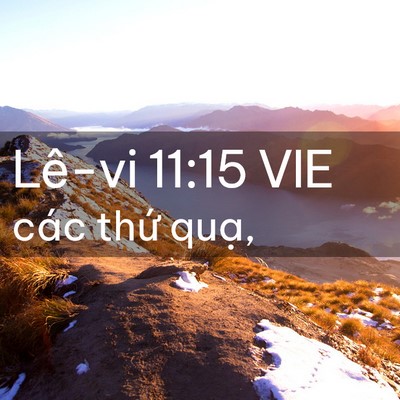 Picture 02 - Lê-vi 11:15 VIE - các thứ - Bible Verse Picture