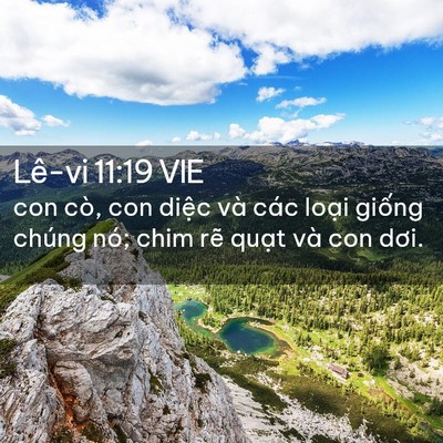 Picture 02 - Lê-vi 11:19 VIE - con cò, con diệc và các loại giống - Bible Verse Picture