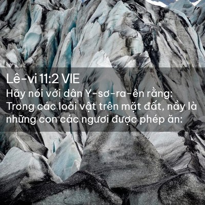 Picture 02 - Lê-vi 11:2 VIE - Hãy nói với dân Y-sơ-ra-ên rằng: Trong - Bible Verse Picture