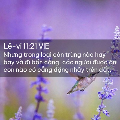 Picture 02 - Lê-vi 11:21 VIE - Nhưng trong loại côn trùng nào hay bay và - Bible Verse Picture