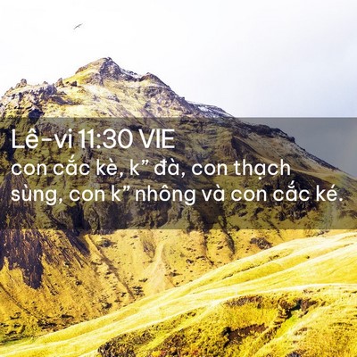 Picture 02 - Lê-vi 11:30 VIE - con cắc kè, k” đà, con thạch sùng, con - Bible Verse Picture