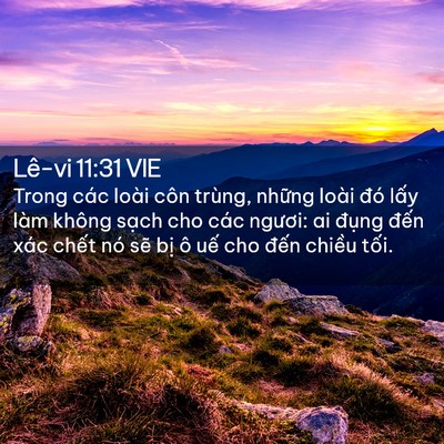 Picture 02 - Lê-vi 11:31 VIE - Trong các loài côn trùng, những loài đó - Bible Verse Picture