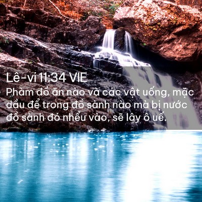 Picture 02 - Lê-vi 11:34 VIE - Phàm đồ ăn nào và các vật uống, mặc - Bible Verse Picture