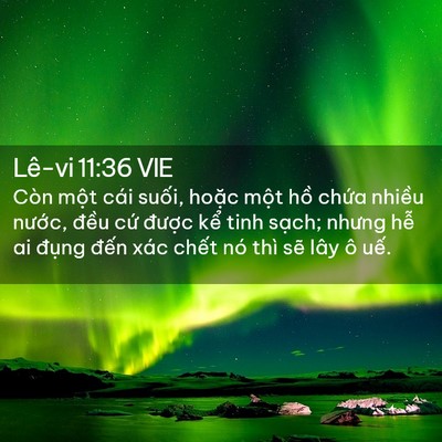 Picture 02 - Lê-vi 11:36 VIE - Còn một cái suối, hoặc một hồ chứa - Bible Verse Picture
