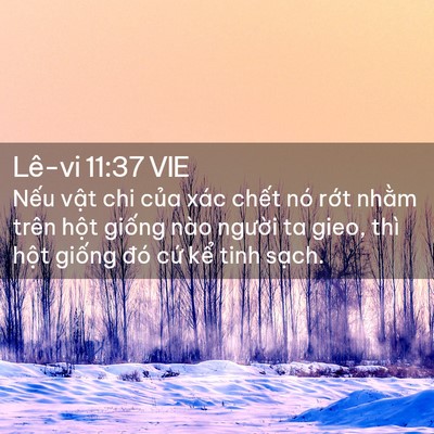 Picture 02 - Lê-vi 11:37 VIE - Nếu vật chi của xác chết nó rớt - Bible Verse Picture