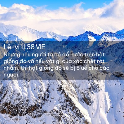Picture 02 - Lê-vi 11:38 VIE - Nhưng nếu người ta có đổ nước trên - Bible Verse Picture