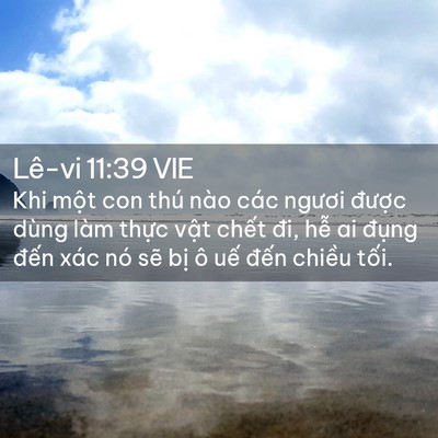 Picture 02 - Lê-vi 11:39 VIE - Khi một con thú nào các ngươi được - Bible Verse Picture