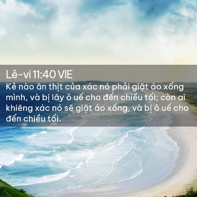 Picture 02 - Lê-vi 11:40 VIE - Kẻ nào ăn thịt của xác nó phải giặt - Bible Verse Picture