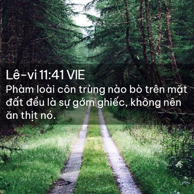 Picture 02 - Lê-vi 11:41 VIE - Phàm loài côn trùng nào bò trên mặt - Bible Verse Picture