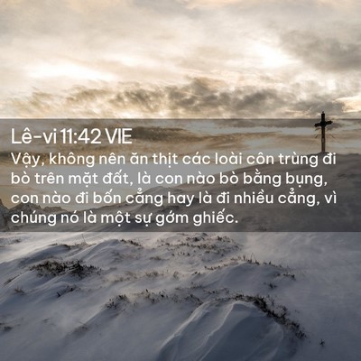 Picture 02 - Lê-vi 11:42 VIE - Vậy, không nên ăn thịt các loài côn - Bible Verse Picture