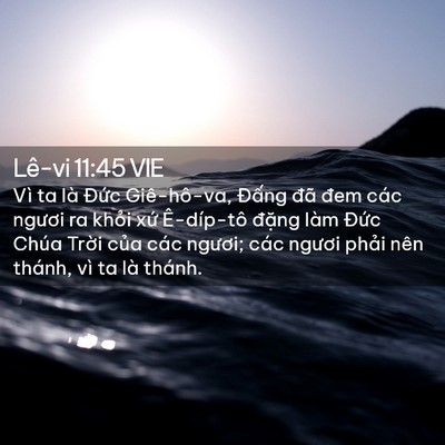 Picture 02 - Lê-vi 11:45 VIE - Vì ta là Đức Giê-hô-va, Đấng đã đem - Bible Verse Picture