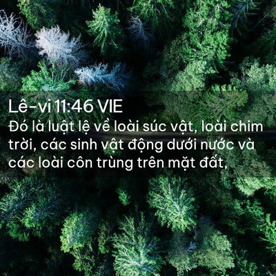 Picture 02 - Lê-vi 11:46 VIE - Đó là luật lệ về loài súc vật, loài - Bible Verse Picture