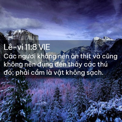 Picture 02 - Lê-vi 11:8 VIE - Các ngươi không nên ăn thịt và cũng - Bible Verse Picture