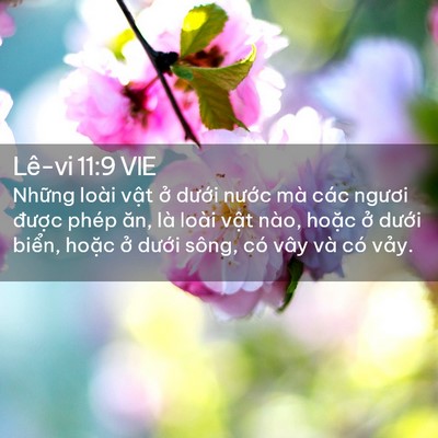 Picture 02 - Lê-vi 11:9 VIE - Những loài vật ở dưới nước mà các - Bible Verse Picture