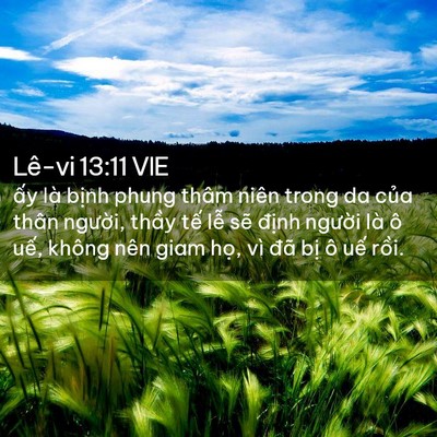 Picture 02 - Lê-vi 13:11 VIE - ấy là bịnh phung thâm niên trong da của - Bible Verse Picture