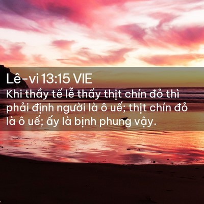 Picture 02 - Lê-vi 13:15 VIE - Khi thầy tế lễ thấy thịt chín đỏ - Bible Verse Picture