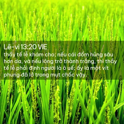 Picture 02 - Lê-vi 13:20 VIE - thầy tế lễ khám cho; nếu cái đốm - Bible Verse Picture