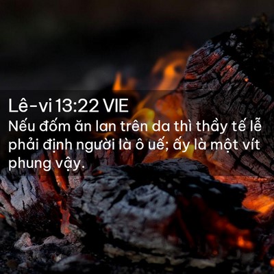 Picture 02 - Lê-vi 13:22 VIE - Nếu đốm ăn lan trên da thì thầy tế - Bible Verse Picture