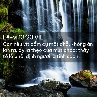 Picture 02 - Lê-vi 13:23 VIE - Còn nếu vít cầm cự một chỗ, không - Bible Verse Picture