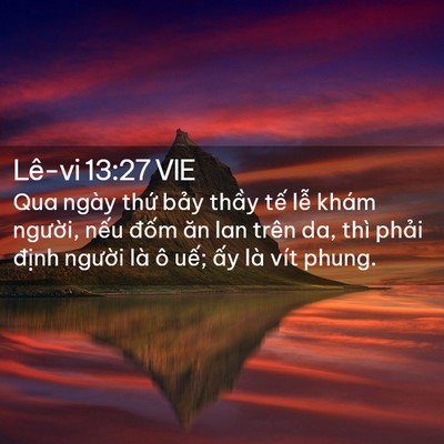 Picture 02 - Lê-vi 13:27 VIE - Qua ngày thứ bảy thầy tế lễ khám - Bible Verse Picture