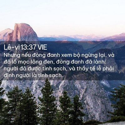 Picture 02 - Lê-vi 13:37 VIE - Nhưng nếu đòng đanh xem bộ ngừng lại, - Bible Verse Picture
