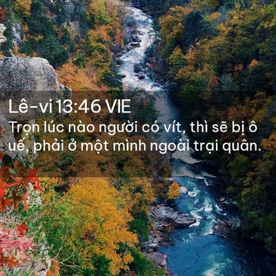 Picture 02 - Lê-vi 13:46 VIE - Trọn lúc nào người có vít, thì sẽ - Bible Verse Picture