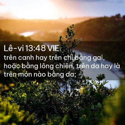 Picture 02 - Lê-vi 13:48 VIE - trên canh hay trên chỉ bằng gai, hoặc - Bible Verse Picture