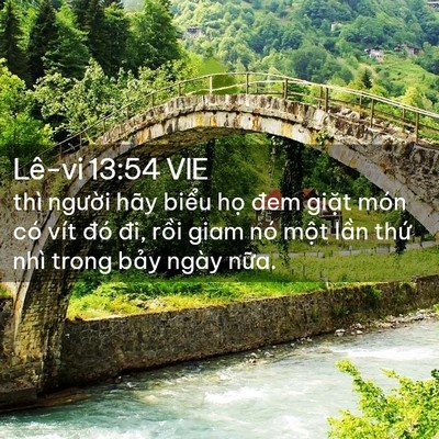 Picture 02 - Lê-vi 13:54 VIE - thì người hãy biểu họ đem giặt món - Bible Verse Picture