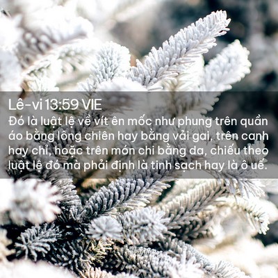 Picture 02 - Lê-vi 13:59 VIE - Đó là luật lệ về vít ên mốc như - Bible Verse Picture