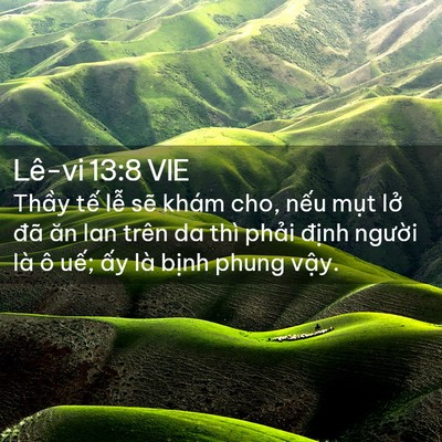 Picture 02 - Lê-vi 13:8 VIE - Thầy tế lễ sẽ khám cho, nếu mụt lở - Bible Verse Picture