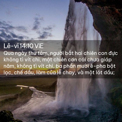 Picture 02 - Lê-vi 14:10 VIE - Qua ngày thứ tám, người bắt hai chiên - Bible Verse Picture