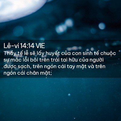 Picture 02 - Lê-vi 14:14 VIE - Thầy tế lễ sẽ lấy huyết của con - Bible Verse Picture