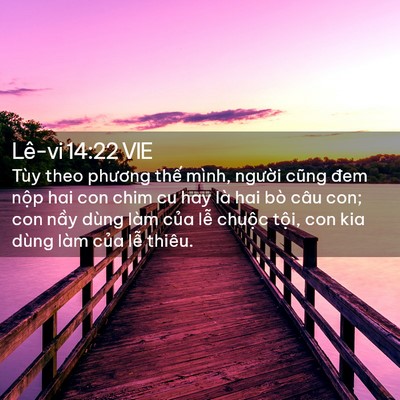 Picture 02 - Lê-vi 14:22 VIE - Tùy theo phương thế mình, người cũng - Bible Verse Picture