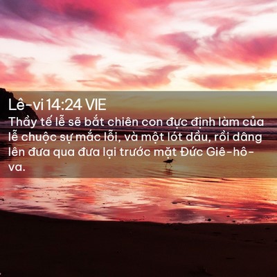 Picture 02 - Lê-vi 14:24 VIE - Thầy tế lễ sẽ bắt chiên con đực - Bible Verse Picture