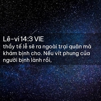 Picture 02 - Lê-vi 14:3 VIE - thầy tế lễ sẽ ra ngoài trại quân mà - Bible Verse Picture