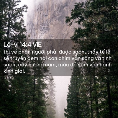 Picture 02 - Lê-vi 14:4 VIE - thì về phần người phải được sạch, - Bible Verse Picture