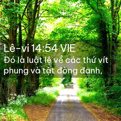 Picture 02 - Lê-vi 14:54 VIE - Đó là luật lệ về các thứ vít phung - Bible Verse Picture